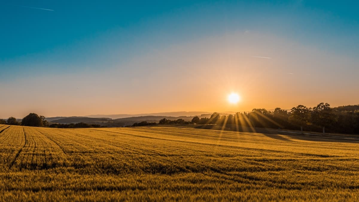 Food security & rural