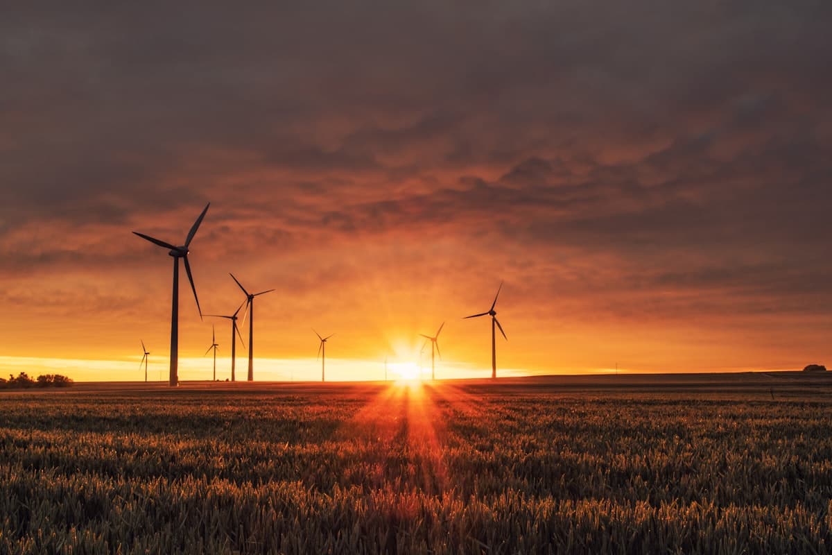 Renewable energy & resilience